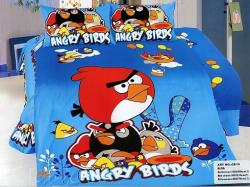 CSD102 Angry Birds,  , 